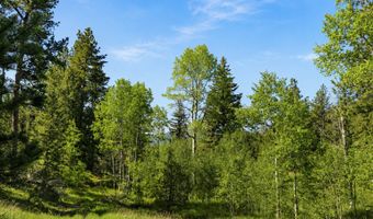 TBD County Road 59, Allenspark, CO 80510