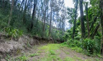 54-1749 PAIPO KANE Rd, Kapaau, HI 96755