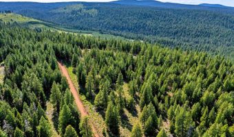 9454 Ridge Rd, Alturas, CA 96101