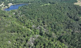 4496 State Hwy 130, Banks, AL 36005