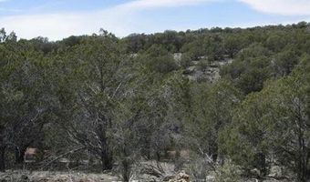 918 Wolf Rd, Ash Fork, AZ 86320