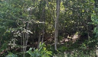 Lot 15 Larkspur Trail, Banner Elk, NC 28604