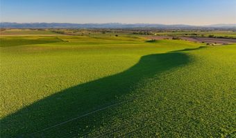 Walker/Forswall, Belgrade, MT 59714