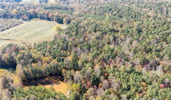 11 34 Acres Scotts Bottom Rd, Arvonia, VA 23004