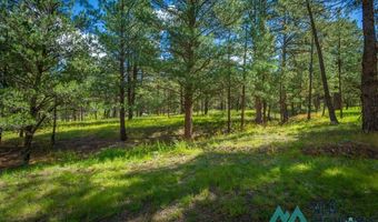 151 Alto Pines Trl, Alto, NM 88312