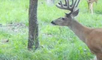 160 Jones Creek Rd, McAlester, OK 74501