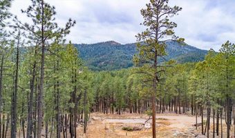 357 Blue Spruce Dr, Bayfield, CO 81122