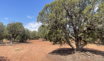 4934 Elk Trail Rd, Clay Springs, AZ 85923
