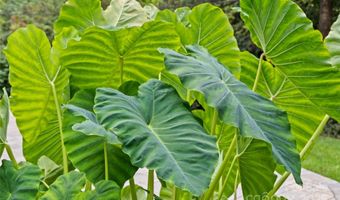 434 Lorna St, Charlotte, NC 28205