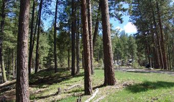 1353 Sterling Dr 68, Cascade, ID 83611