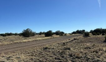 201-29 164C, Concho, AZ 85924