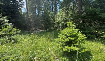 13643 Sundance Trl, Bigfork, MT 59911