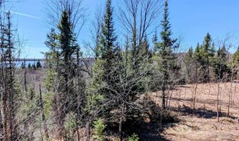 8 Acres E Cable Lake Rd, Amasa, MI 49903