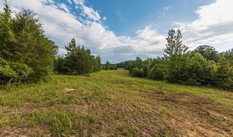 0 Brooksie Thompson Rd, Bath Springs, TN 38311