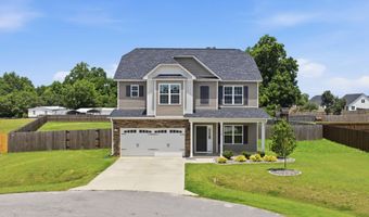 118 W Sand Luggs Ct, Angier, NC 27501
