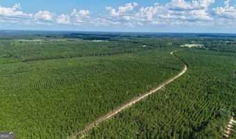 Penny Morris Road, Baxley, GA 31513