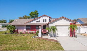 1113 PERSIMMON Dr, Holiday, FL 34691