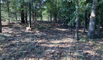 113 Hudson Ridge Rd, Bald Knob, AR 72010