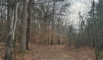 HARDWARE RD lot C1, Arvonia, VA 23004