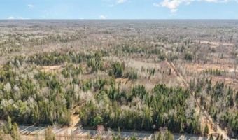 6002 Wildwood, Alger, MI 48610