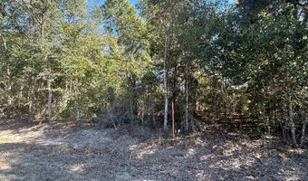 20 Ac Coot Adams Rd, Ashford, AL 36312