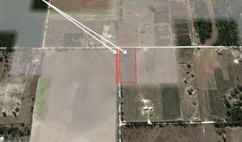 NW 50 Street, Bell, FL 32619