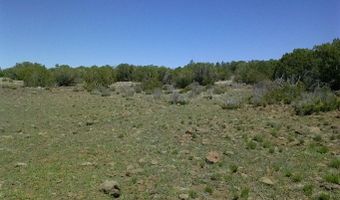 Tbd CR 8026, Concho, AZ 85924
