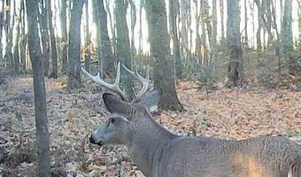 N5134 STAR NEVA RD, Antigo, WI 54418