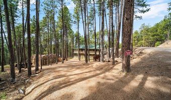 310 Timber Dr, Bayfield, CO 81122