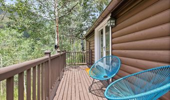 5387 Castle Creek Rd, Aspen, CO 81612