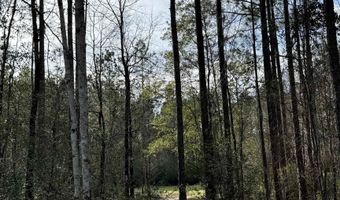 51235 Phillipsville Rd, Bay Minette, AL 36507