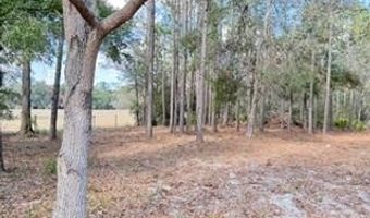 2629 NW 29th Ter, Bell, FL 32619