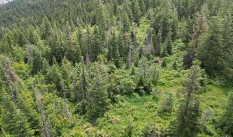 NKA INITIAL PEAK Rd, Cataldo, ID 83810