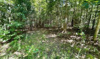 0 Regan Meadow Ln TRACT 27, Commerce, GA 30530