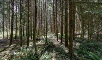 25454 PERKINS Rd, Veneta, OR 97487