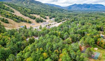 6 P River Run Dr P, Bartlett, NH 03812