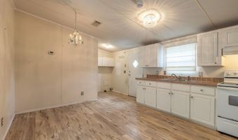 55721 Palmetto Rd, Astor, FL 32102