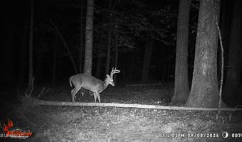 590 247 Country Rd, Bruce, MS 38915