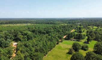 160 LR 717, Ashdown, AR 71822