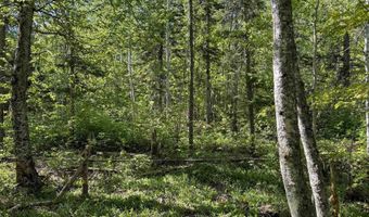Gratiot River Road lot A, Allouez, MI 49805