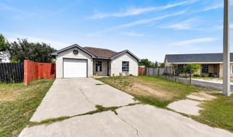 444 Cripple Creek Cir, Alamo, TX 78516