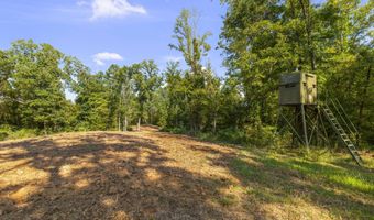 2233 Holloman Rd, Bentonia, MS 39040