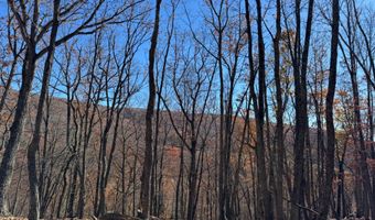 COVE CREEK Road lot 2, Baker, WV 26801