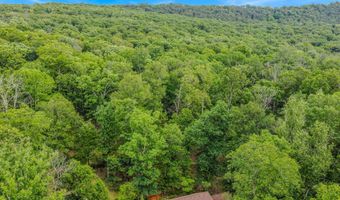580 BRAEBURN Dr, Augusta, WV 26704