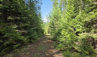 5784 River Rd, Clark Fork, ID 83811