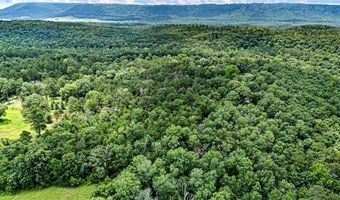 Duvall Road, Atkins, AR 72823