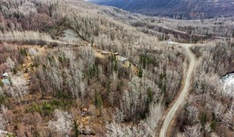 15868 N Fish Lake Rd, Chickaloon, AK 99674