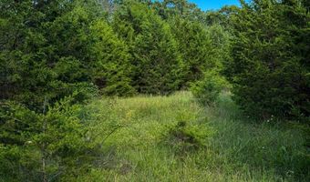 Co Rd 539, Ava, MO 65629
