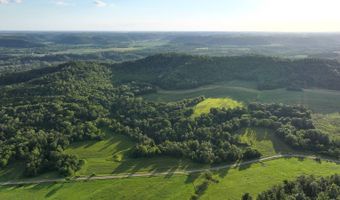 TBD Bear Pen Rd, Arkansaw, WI 54721