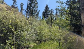 Old Camp Rd, Bellvue, CO 80512